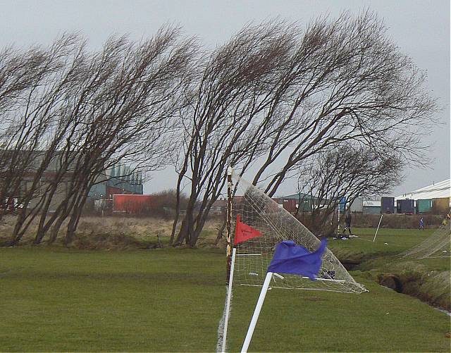 Sportspy Reports - Sunday February 6th 2011