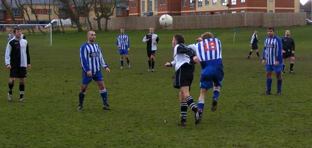 Snaps From Boundary - Sunday January 25th 2009