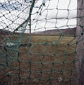 BFSFA League Structure - 2010/11 Season