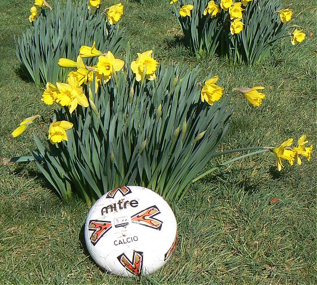 Sportspy Reports - Sunday March 28th 2010