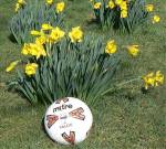Sportspy Reports - Sunday March 28th 2010