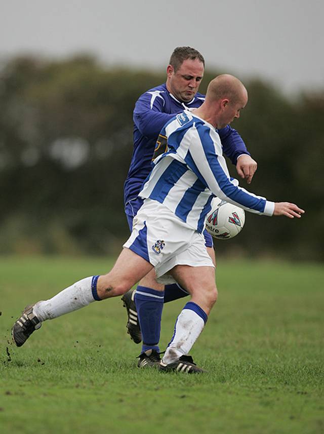 Top quality photo's from Commonedge Road.