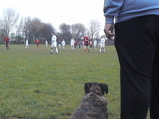 Top Pictures 2004/05 season. Top Pictures 2004/05 season.