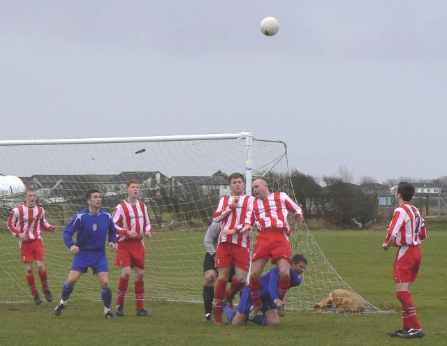 Sportspy Reports - Sunday February 24th 2008.