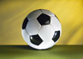 Stable Bar FC look ahead to the 2008/09 season.